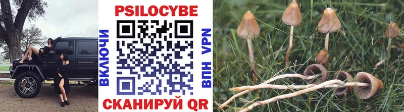 как найти закладки Разумное Галлюциногенные грибы MAGIC MUSHROOMS